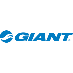 Giant Onderhoud