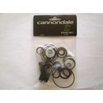 Cannondale Lefty Ocho 100hr Seal Kit - K57009