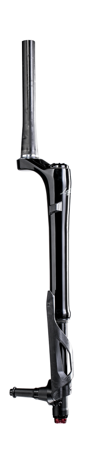 Lefty shock 2024
